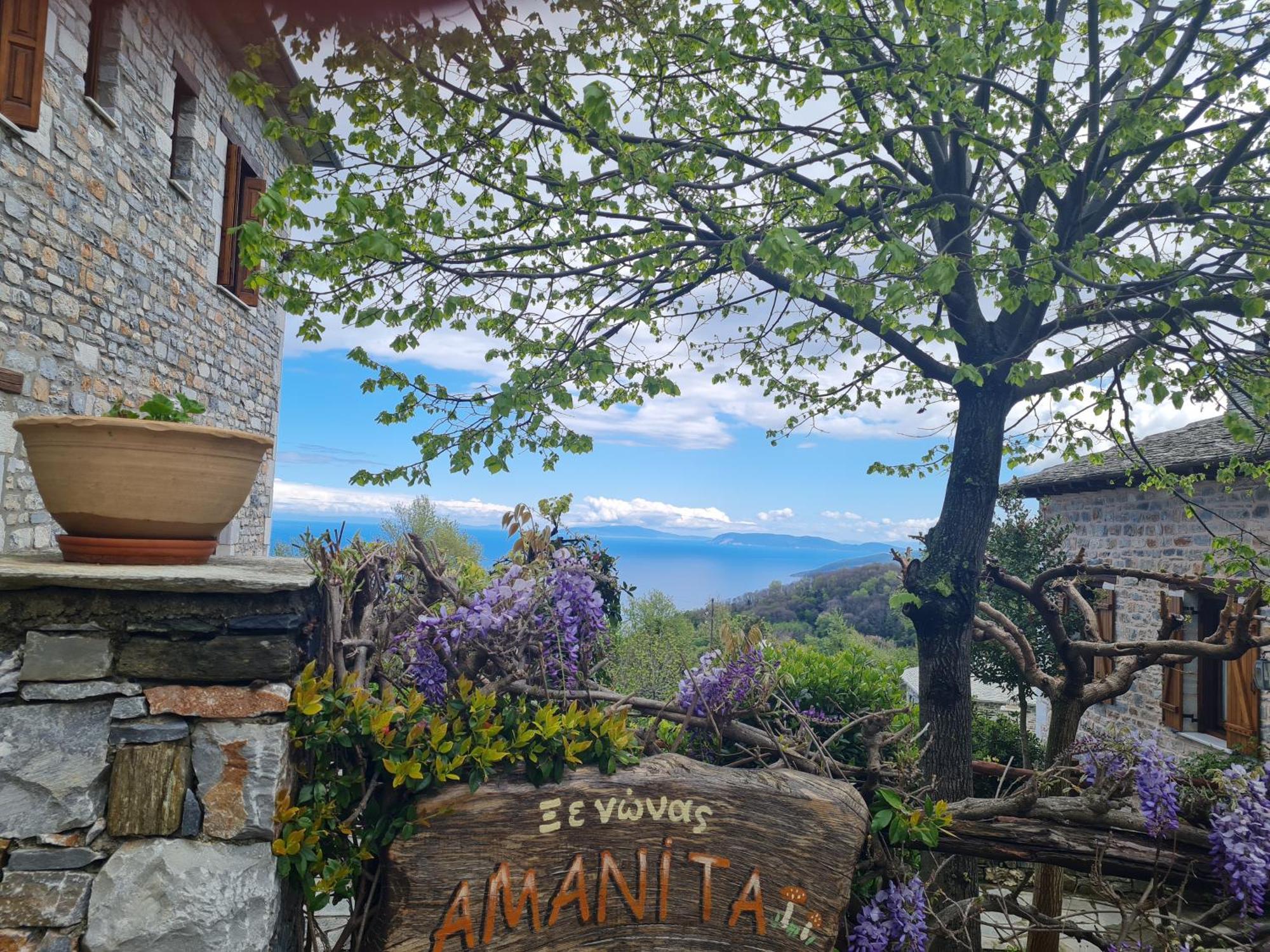 Amanita Boutique Hotel ツァガラダ エクステリア 写真